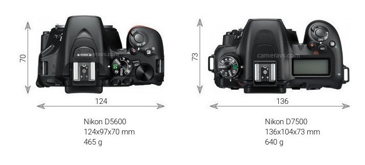 Nikon D7500 vs Nikon D5600
